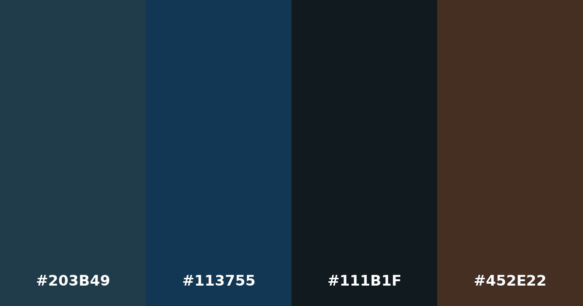 Color palette #203B49 #113755 #111B1F #452E22