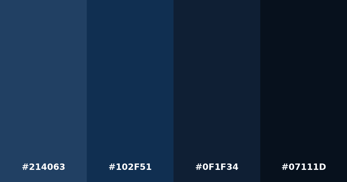 Color palette #214063 #102F51 #0F1F34 #07111D