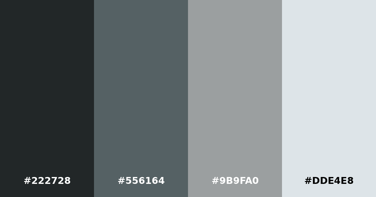Color palette #222728 #556164 #9B9FA0 #DDE4E8