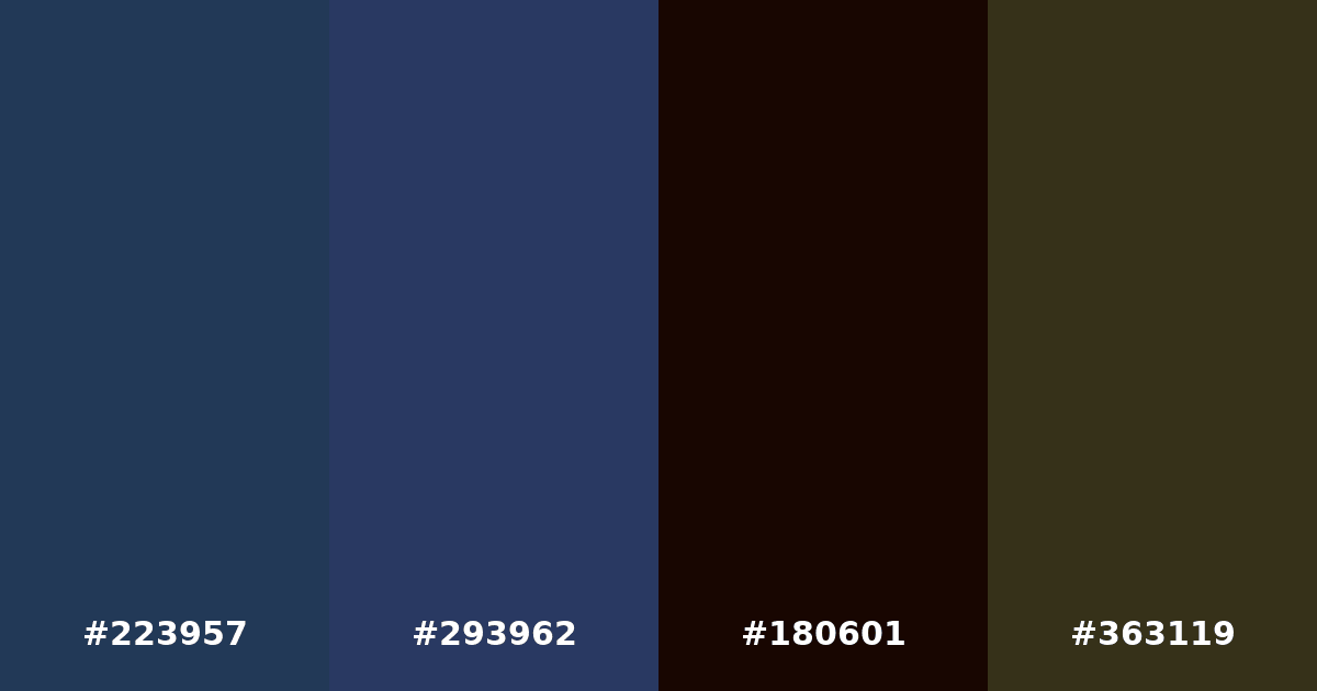 Color palette #223957 #293962 #180601 #363119