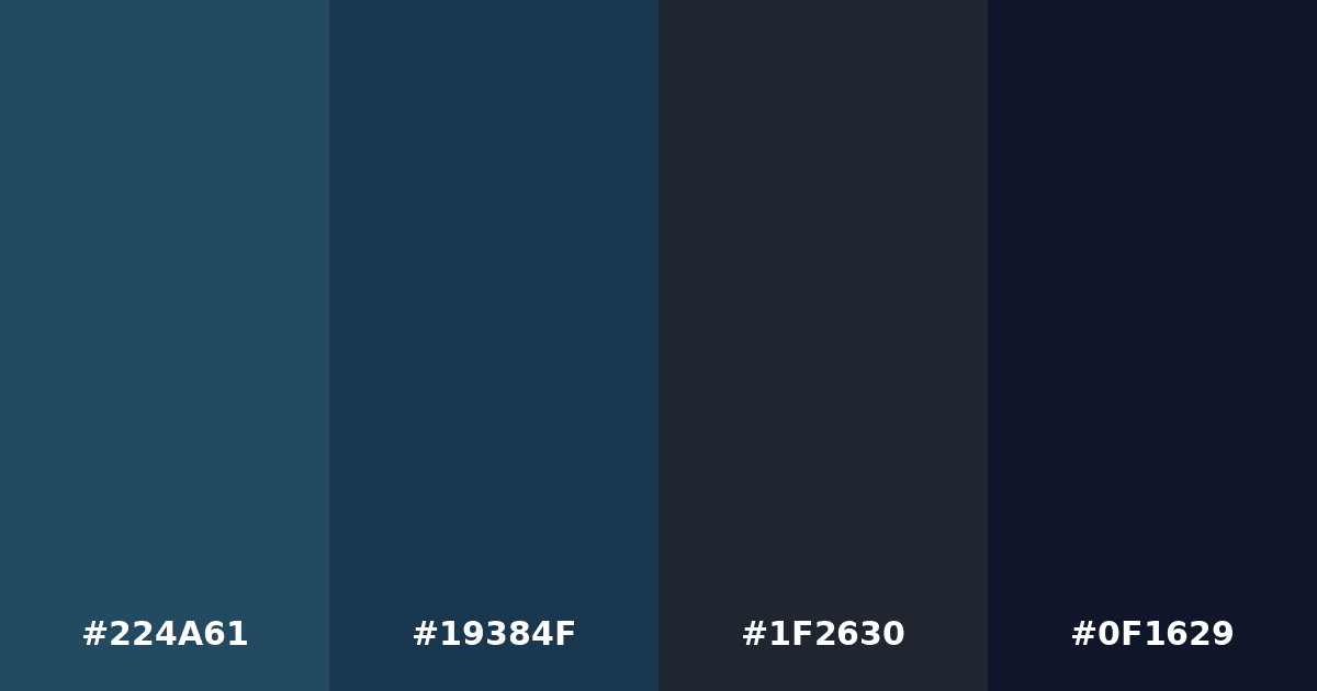 Color palette #224A61 #19384F #1F2630 #0F1629