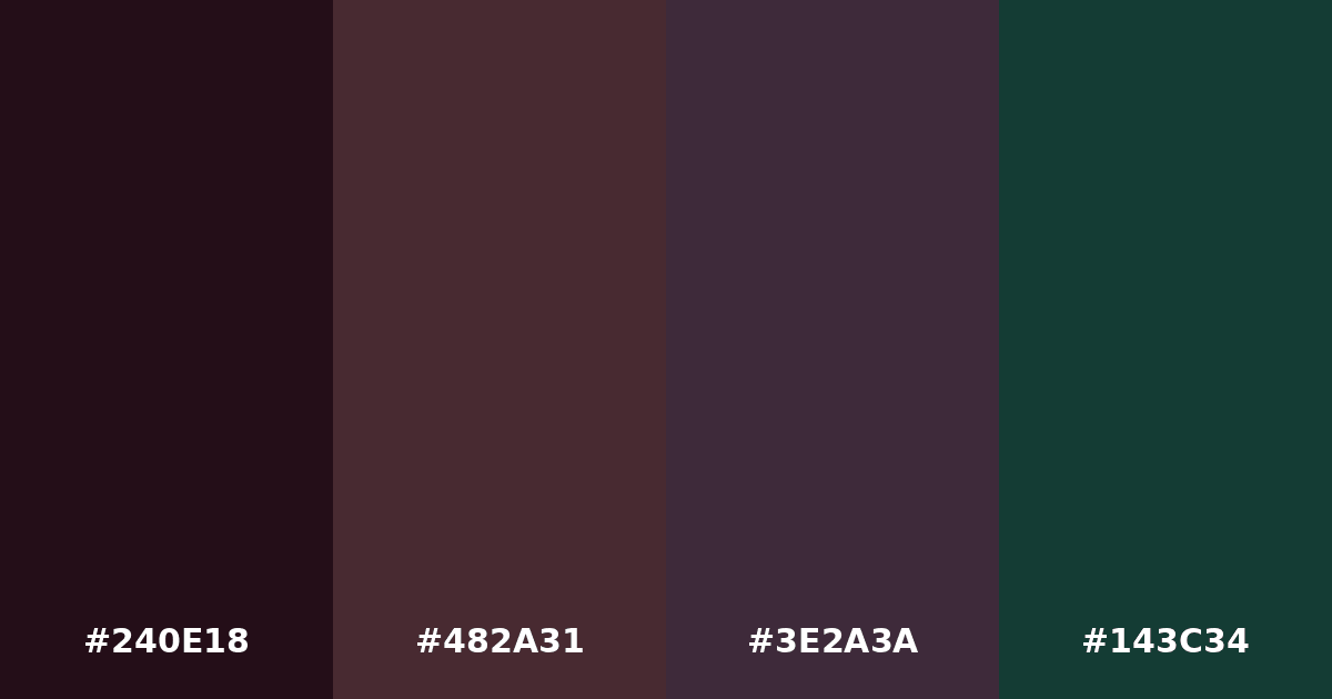 Color palette #240E18 #482A31 #3E2A3A #143C34