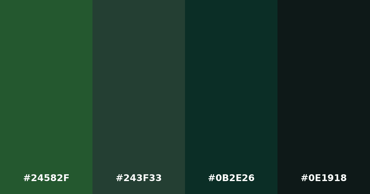 Color palette #24582F #243F33 #0B2E26 #0E1918