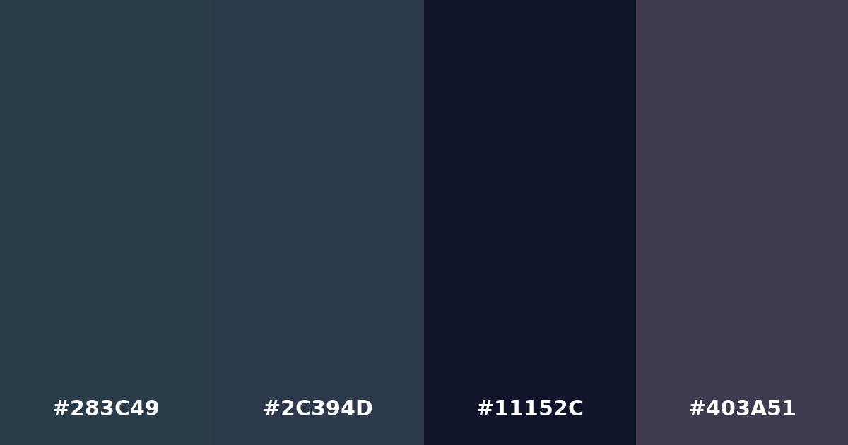 Color palette #283C49 #2C394D #11152C #403A51