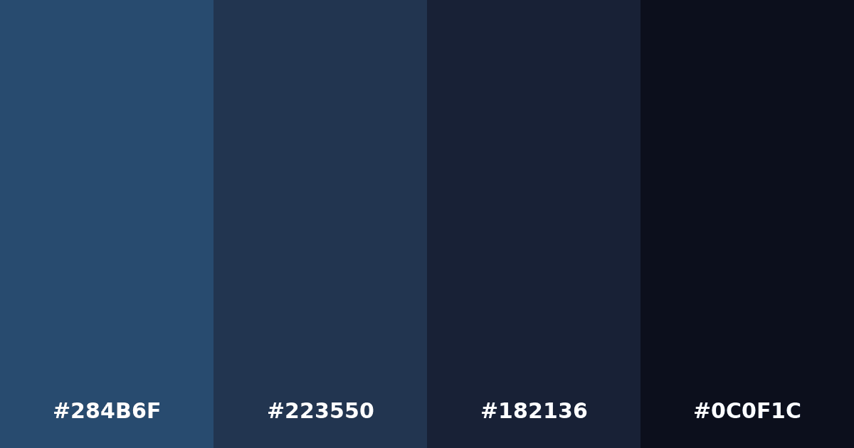 Color palette #284B6F #223550 #182136 #0C0F1C