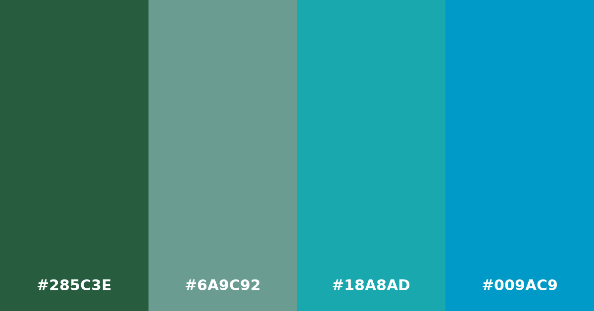 Color palette #285C3E #6A9C92 #18A8AD #009AC9