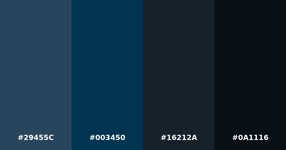Color palette #29455C #003450 #16212A #0A1116