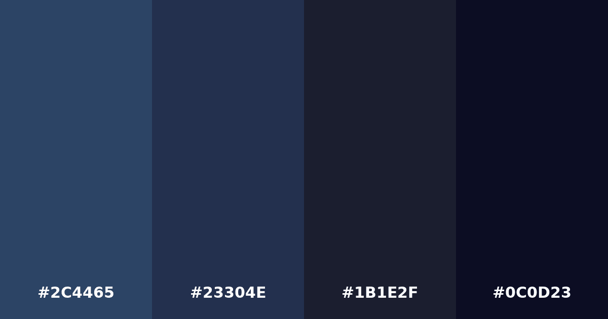 Color palette #2C4465 #23304E #1B1E2F #0C0D23