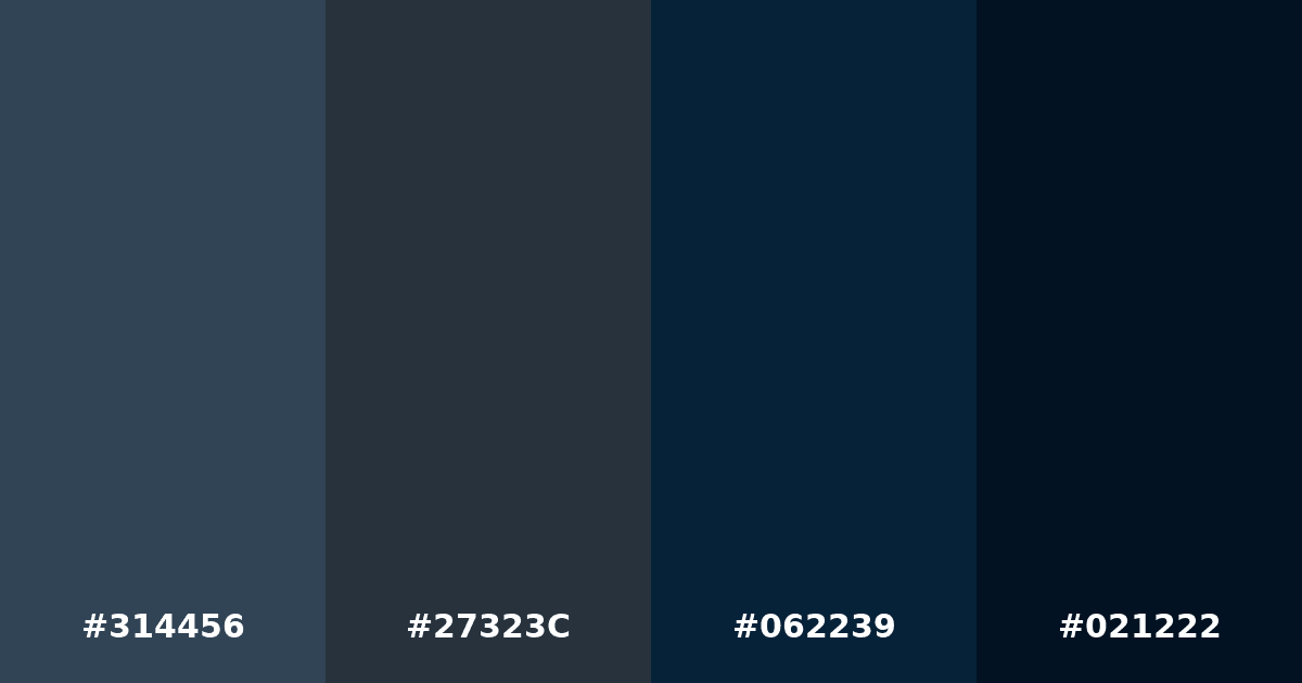 Color palette #314456 #27323C #062239 #021222