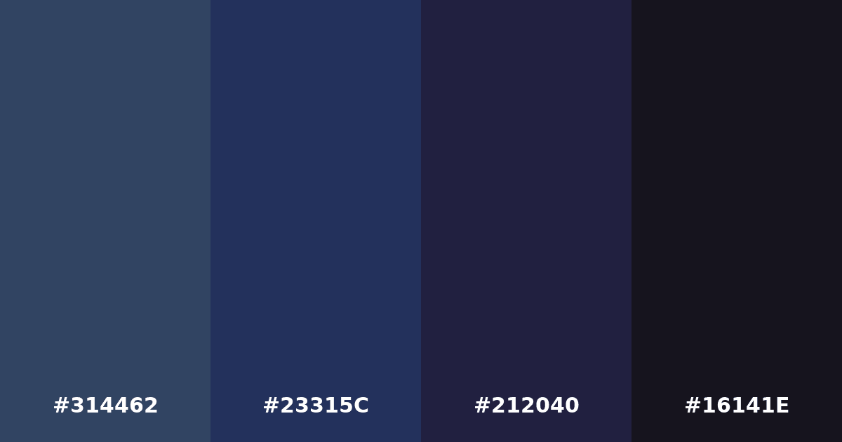 Color palette #314462 #23315C #212040 #16141E
