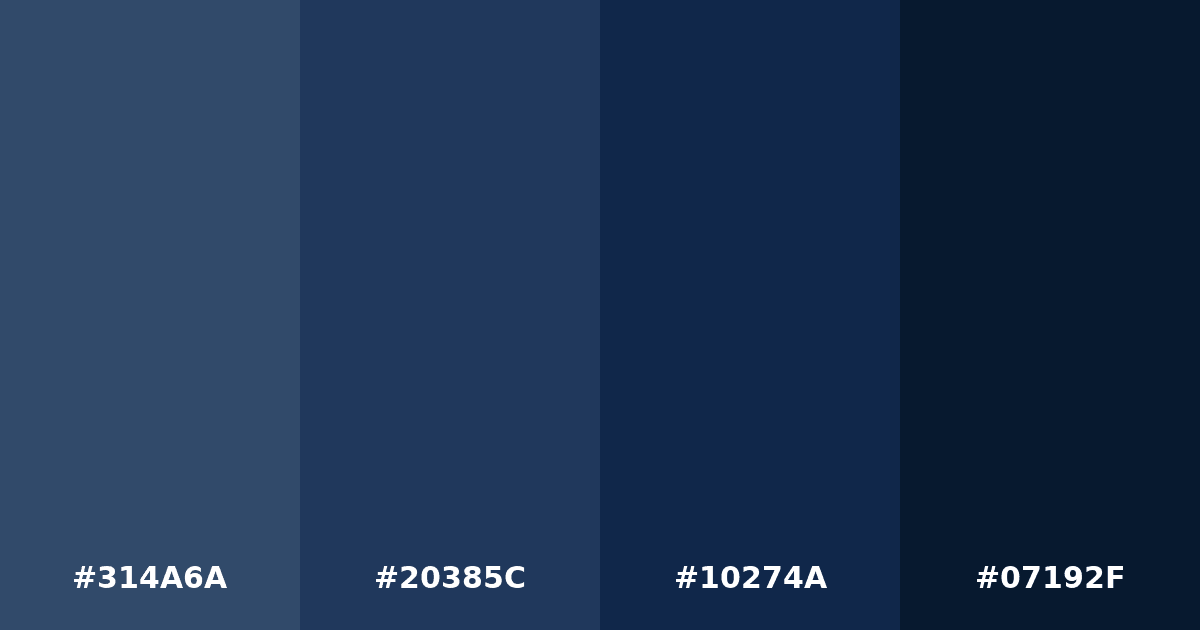 Color palette #314A6A #20385C #10274A #07192F