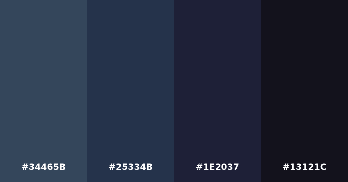 Color palette #34465B #25334B #1E2037 #13121C