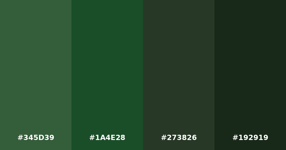 Color palette #345D39 #1A4E28 #273826 #192919
