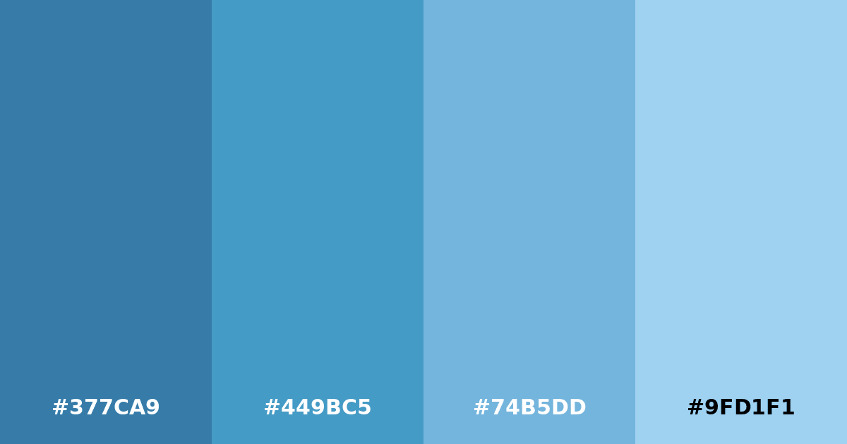 Color palette #377CA9 #449BC5 #74B5DD #9FD1F1