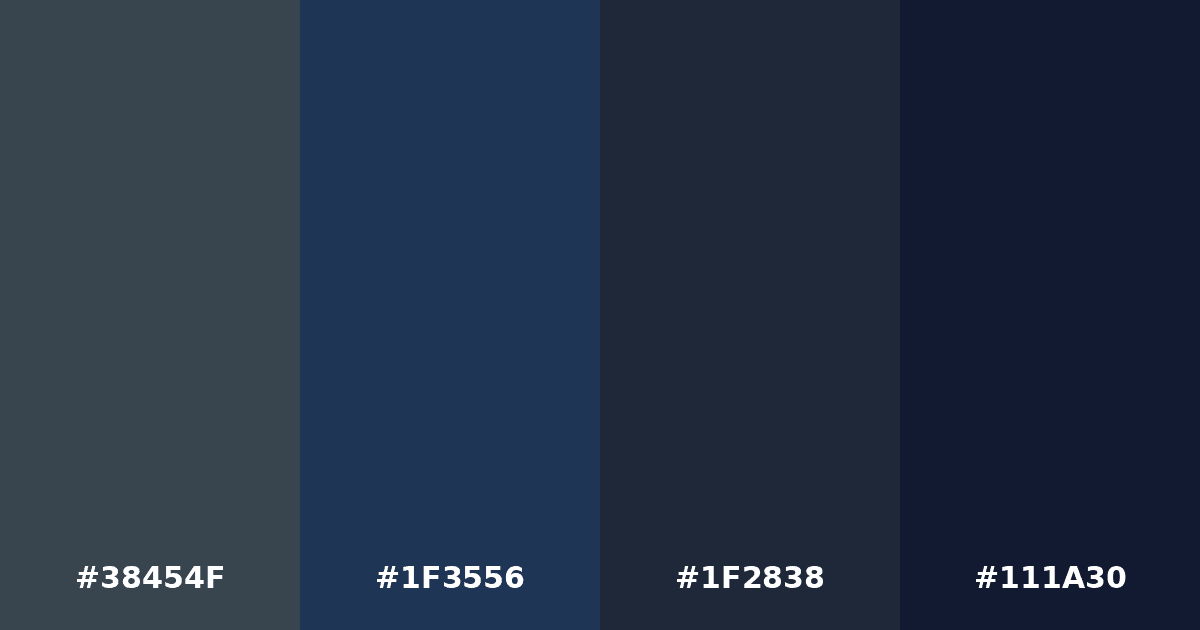 Color palette #38454F #1F3556 #1F2838 #111A30