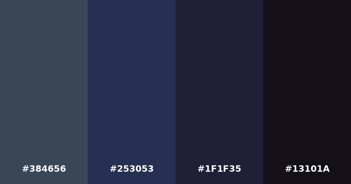 Color palette #384656 #253053 #1F1F35 #13101A