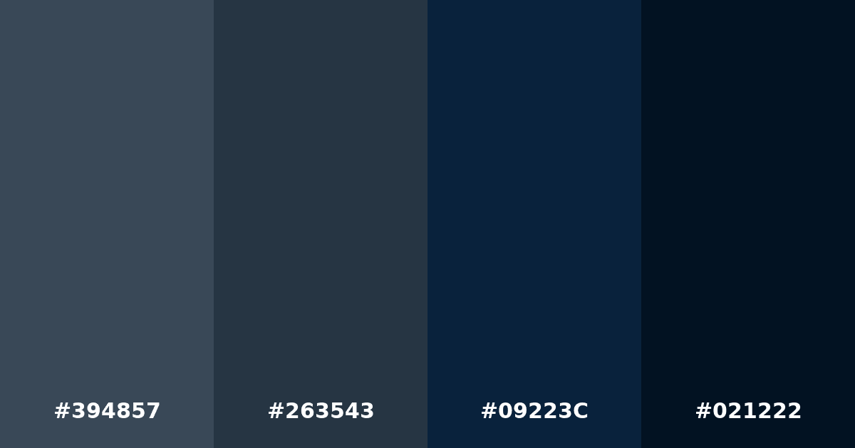 Color palette #394857 #263543 #09223C #021222