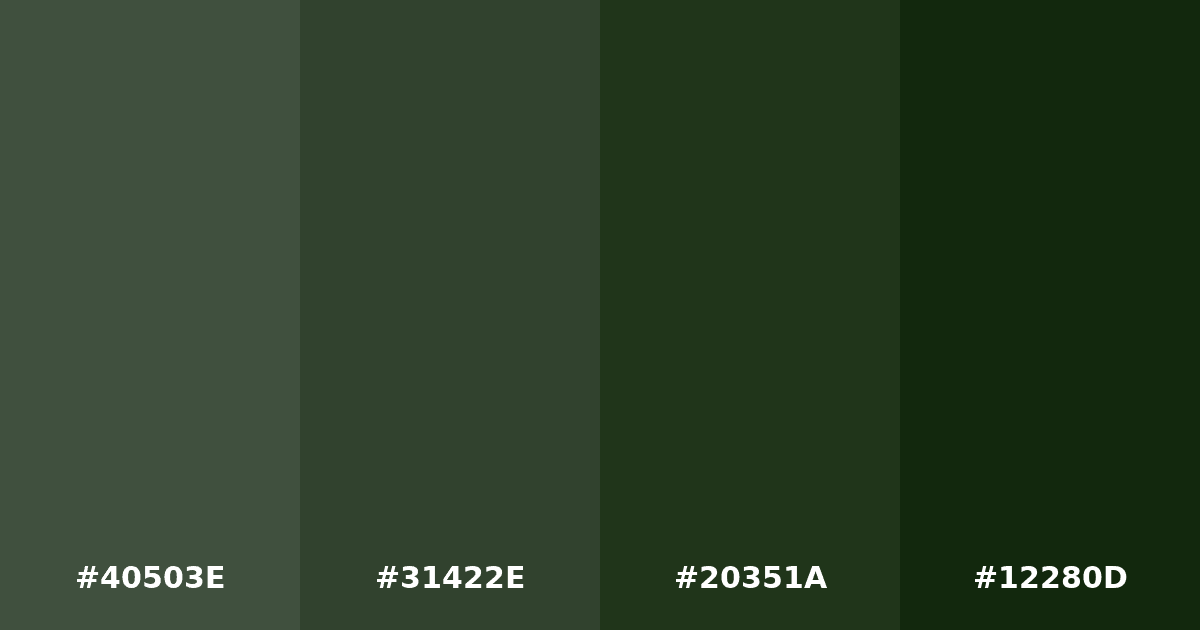 Color palette #40503E #31422E #20351A #12280D