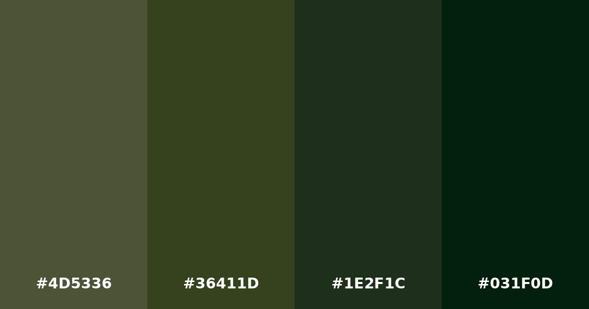 Color palette #4D5336 #36411D #1E2F1C #031F0D