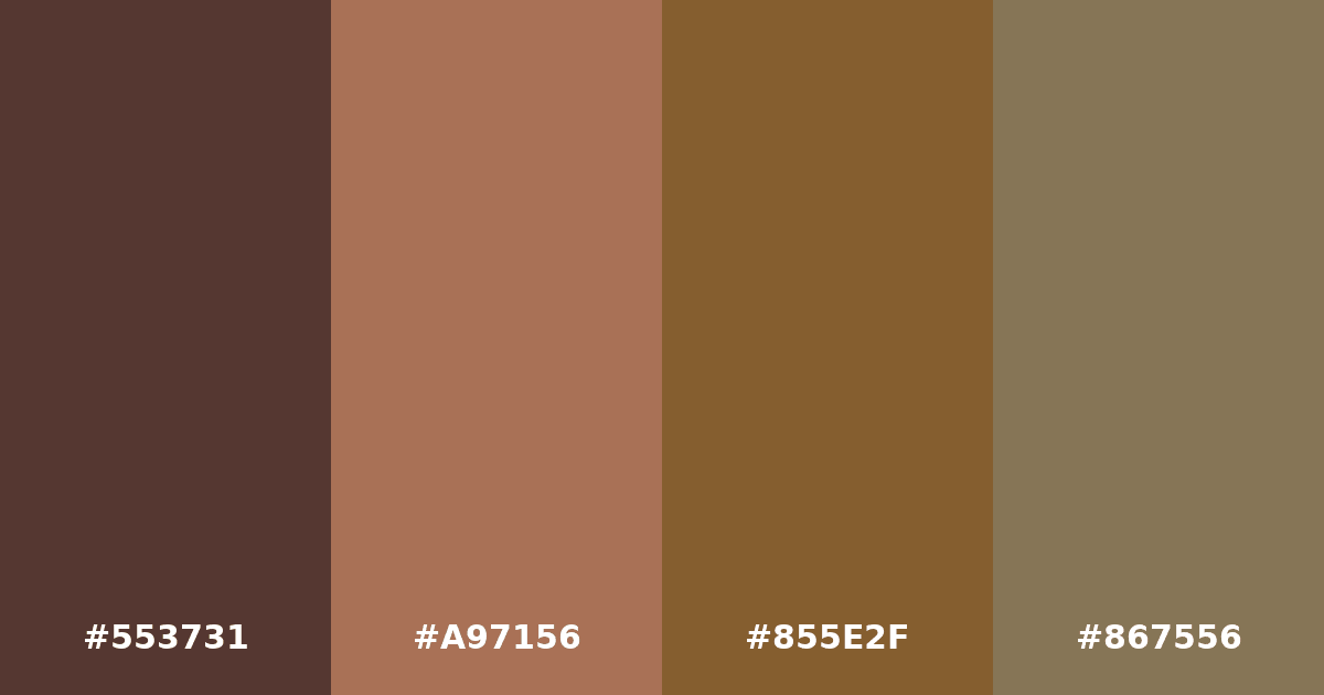 Color palette #553731 #A97156 #855E2F #867556