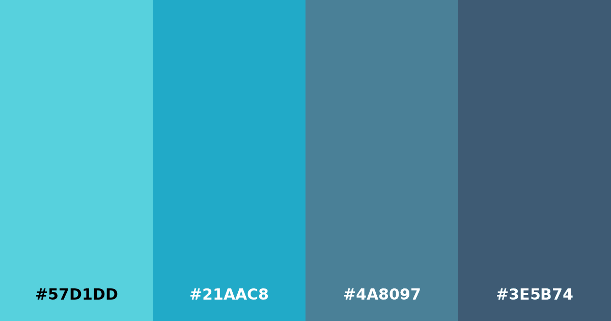 Color palette #57D1DD #21AAC8 #4A8097 #3E5B74