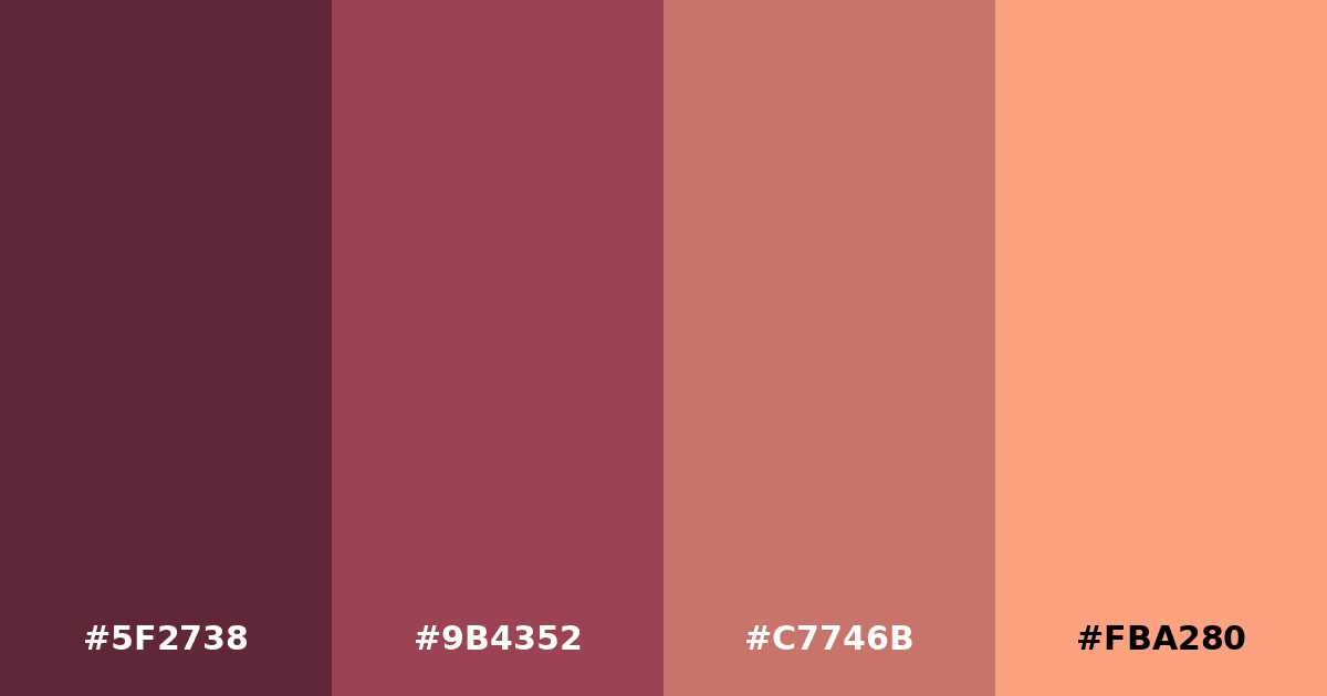 Color palette #5F2738 #9B4352 #C7746B #FBA280
