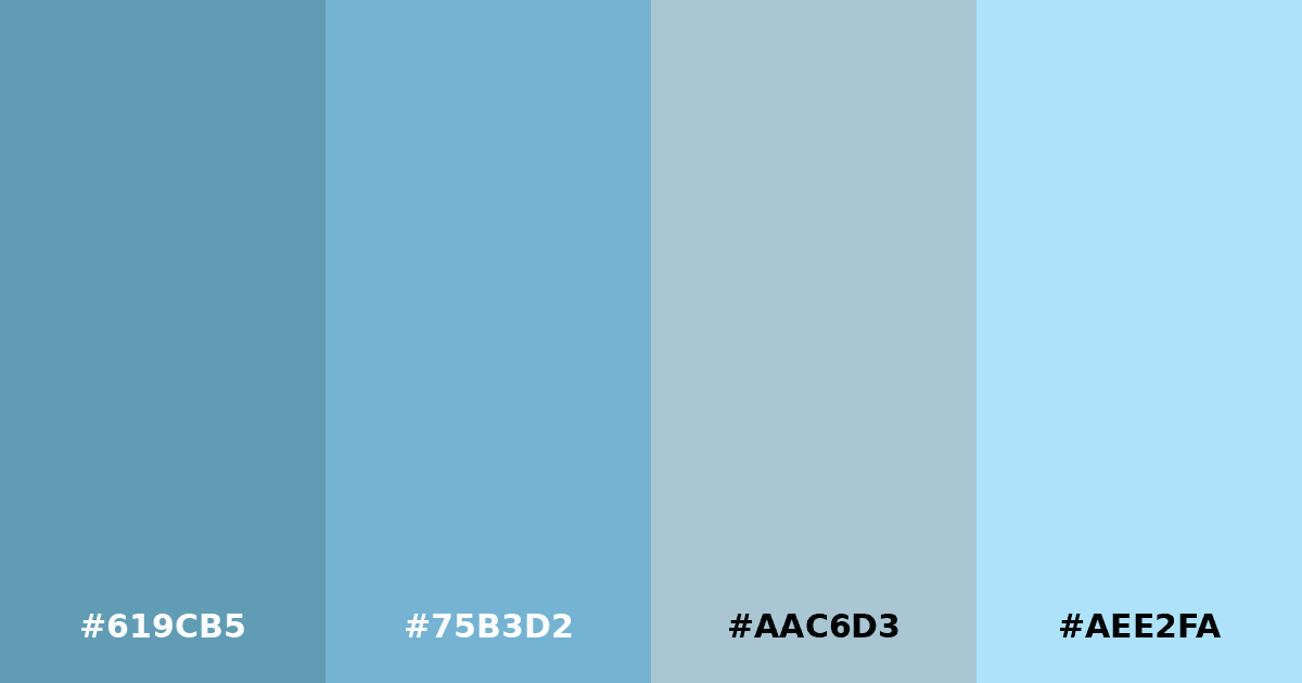 Color palette #619CB5 #75B3D2 #AAC6D3 #AEE2FA