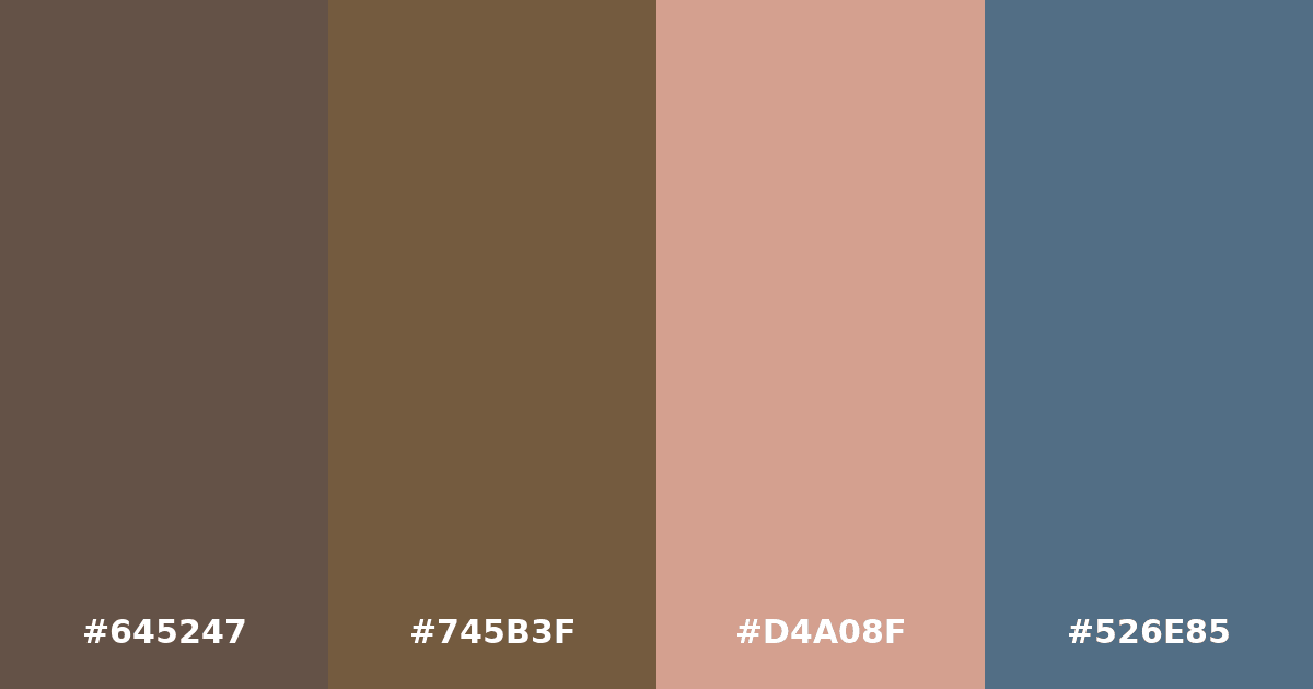 Color palette #645247 #745B3F #D4A08F #526E85