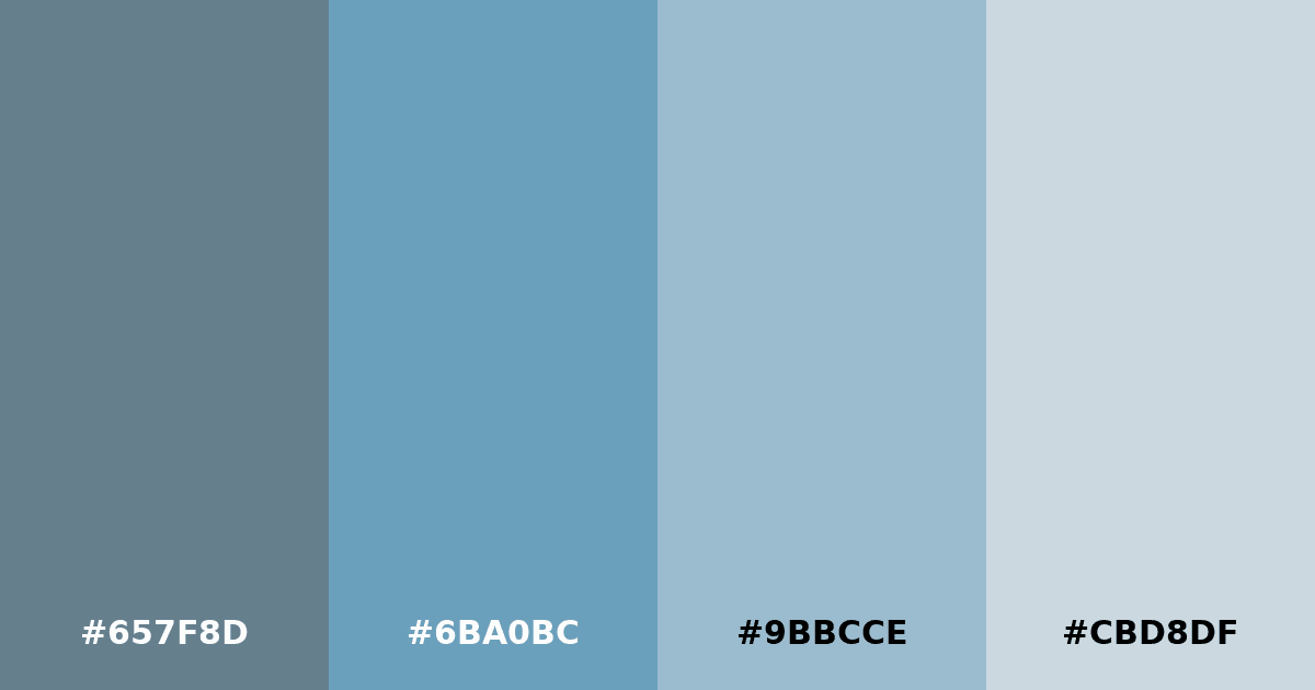 Color palette #657F8D #6BA0BC #9BBCCE #CBD8DF
