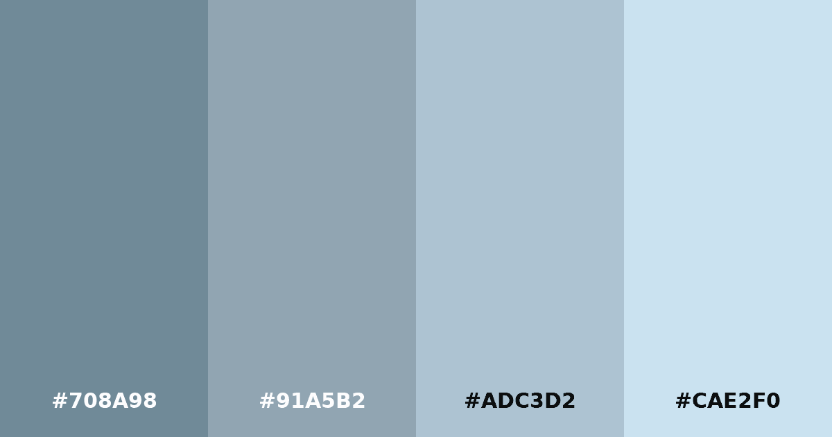 Color palette #708A98 #91A5B2 #ADC3D2 #CAE2F0