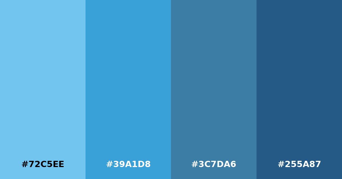 Color palette #72C5EE #39A1D8 #3C7DA6 #255A87