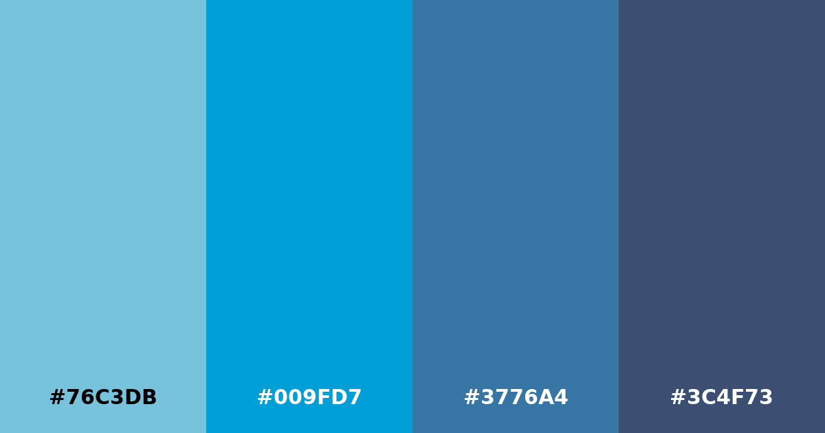 Color palette #76C3DB #009FD7 #3776A4 #3C4F73