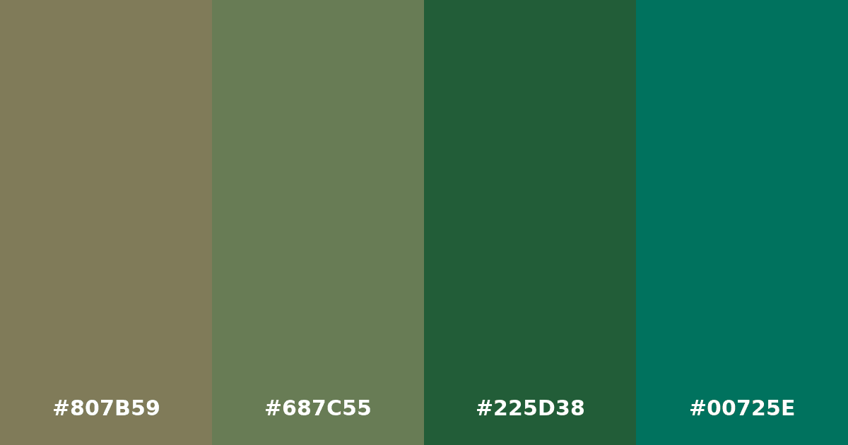 Color palette #807B59 #687C55 #225D38 #00725E