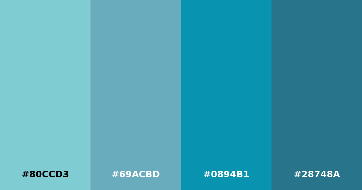 Color palette #80CCD3 #69ACBD #0894B1 #28748A