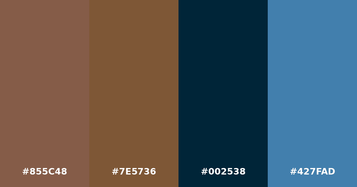 Color palette #855C48 #7E5736 #002538 #427FAD