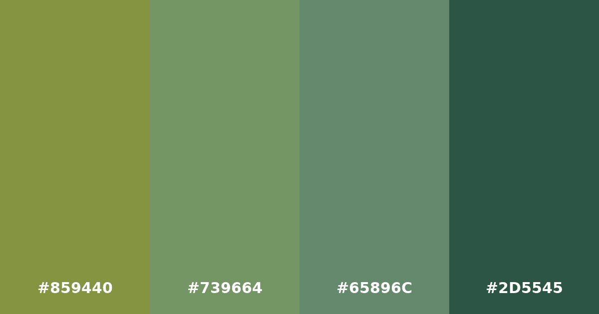 Color palette #859440 #739664 #65896C #2D5545