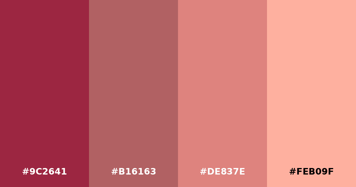 Color palette #9C2641 #B16163 #DE837E #FEB09F