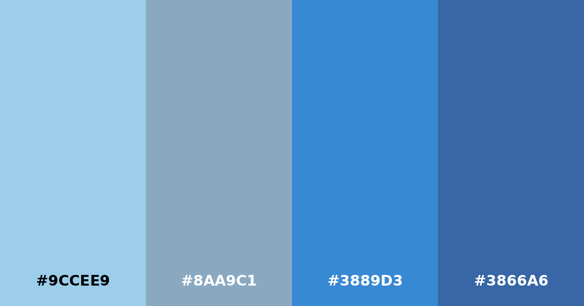 Color palette #9CCEE9 #8AA9C1 #3889D3 #3866A6