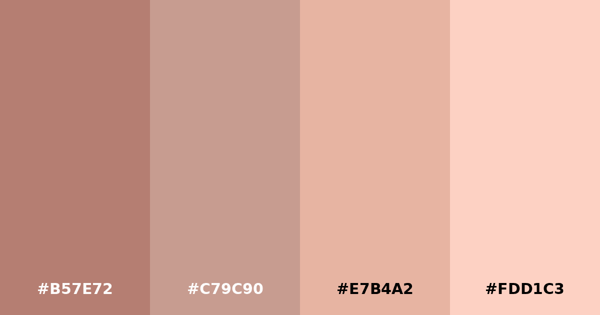 Color palette #B57E72 #C79C90 #E7B4A2 #FDD1C3