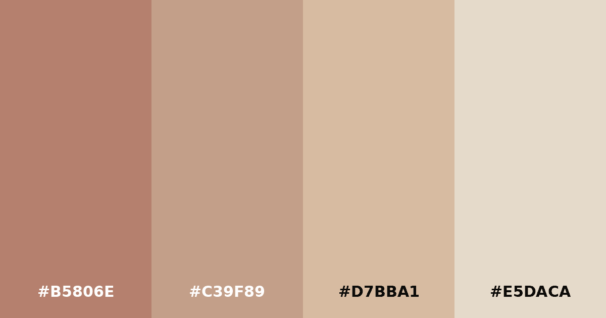 Color palette #B5806E #C39F89 #D7BBA1 #E5DACA