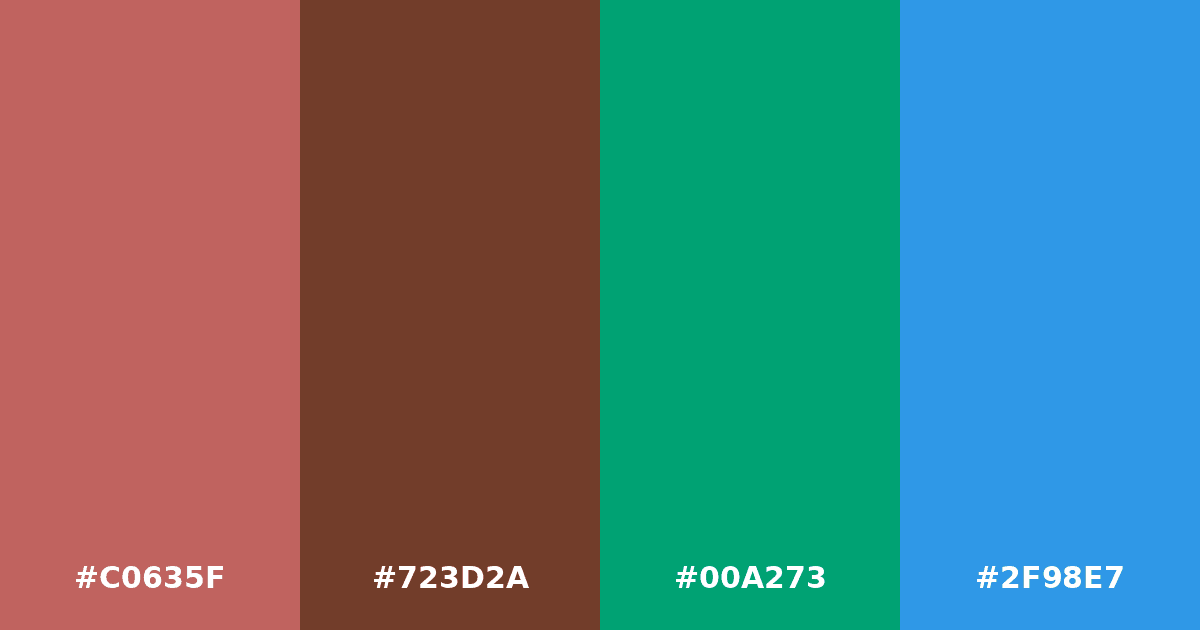 Color palette #C0635F #723D2A #00A273 #2F98E7