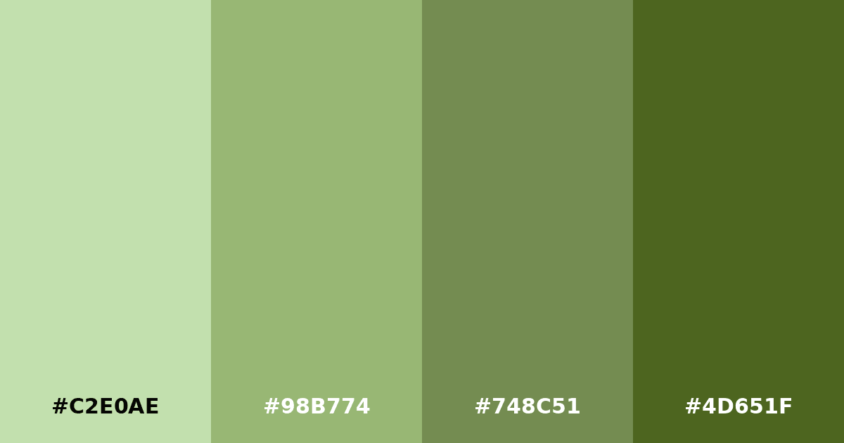 Color palette #C2E0AE #98B774 #748C51 #4D651F