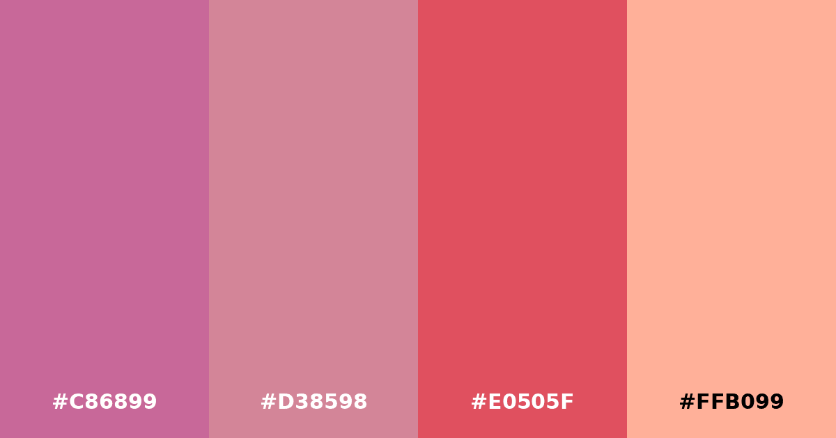 Color palette #C86899 #D38598 #E0505F #FFB099