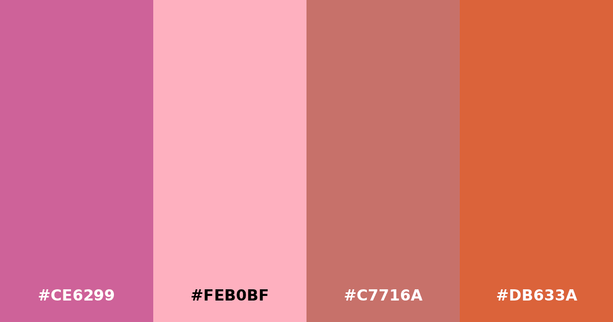 Color palette #CE6299 #FEB0BF #C7716A #DB633A