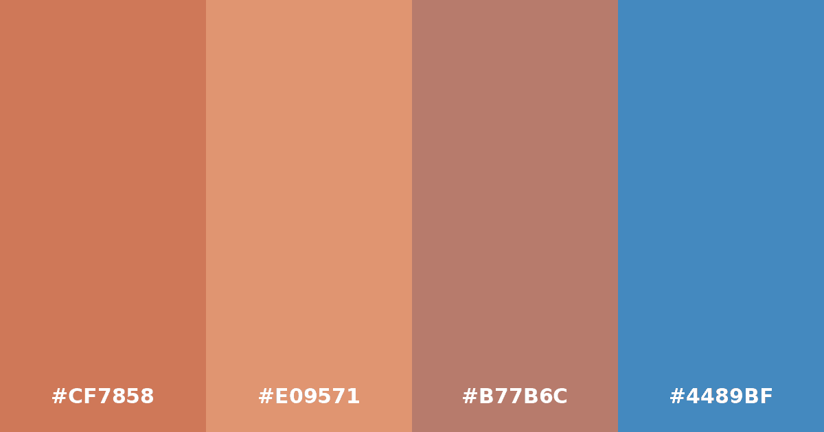 Color palette #CF7858 #E09571 #B77B6C #4489BF