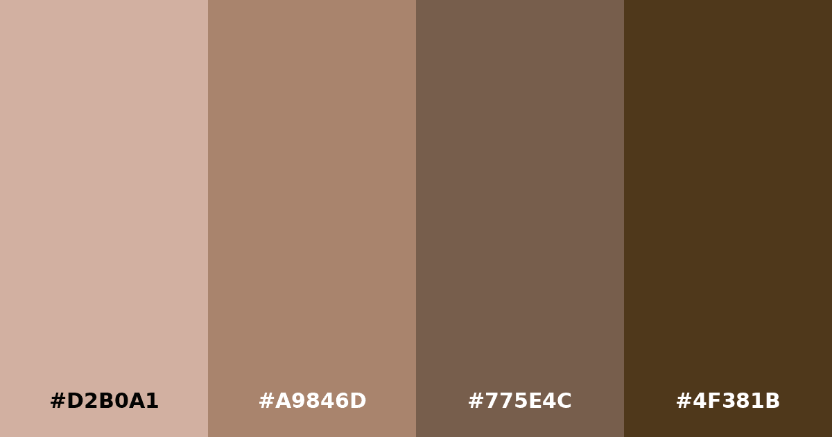 Color palette #D2B0A1 #A9846D #775E4C #4F381B