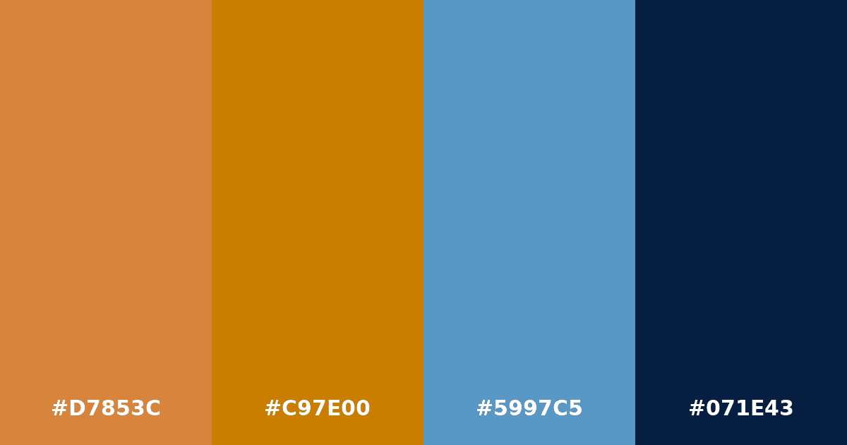 Color palette #D7853C #C97E00 #5997C5 #071E43