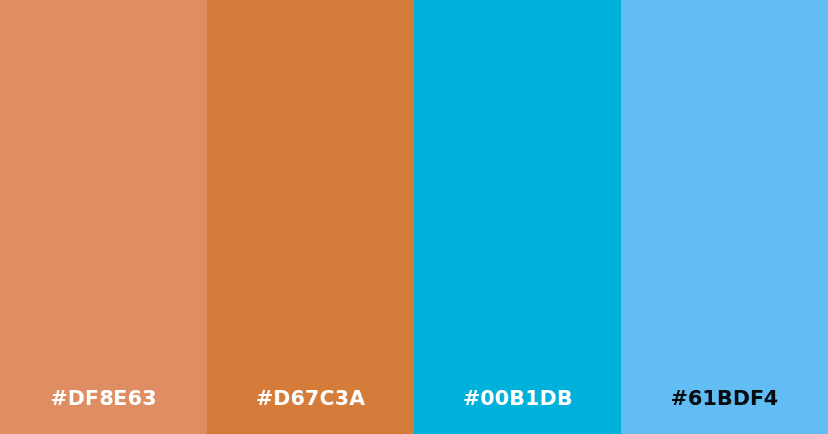 Color palette #DF8E63 #D67C3A #00B1DB #61BDF4