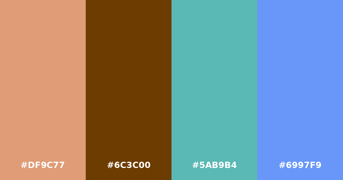 Color palette #DF9C77 #6C3C00 #5AB9B4 #6997F9
