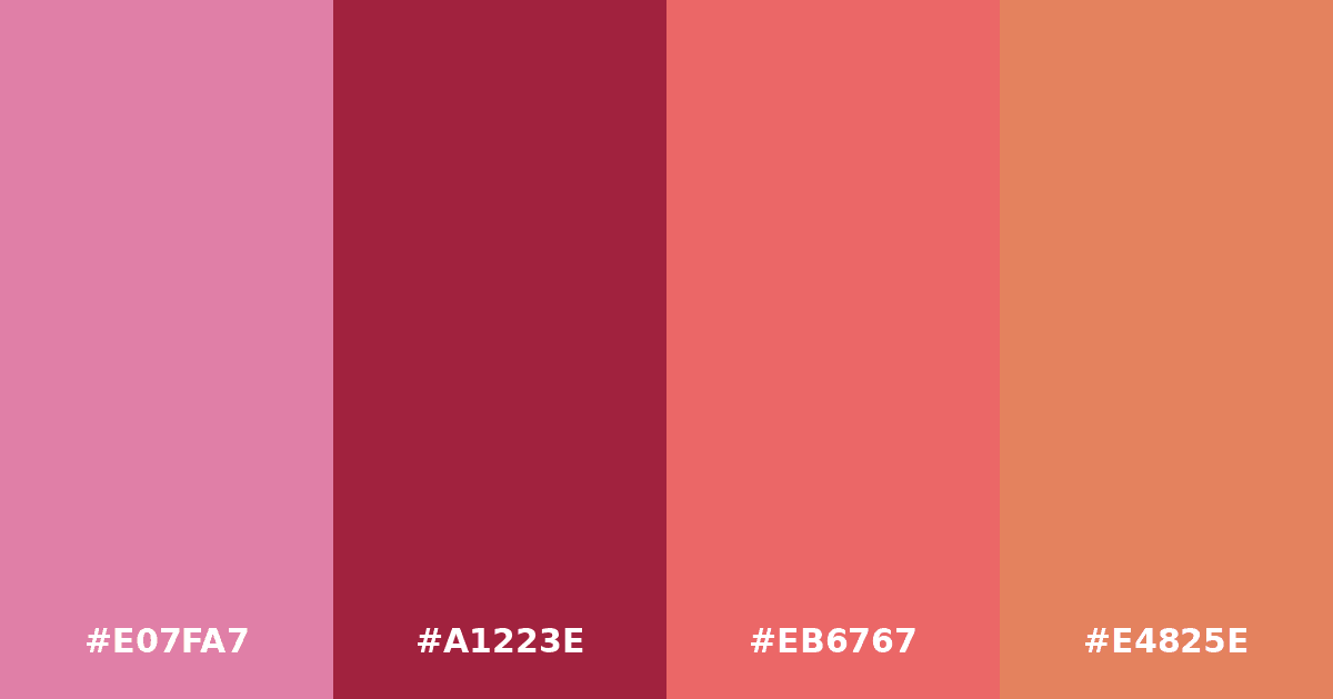 Color palette #E07FA7 #A1223E #EB6767 #E4825E
